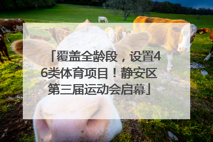 覆盖全龄段，设置46类体育项目！静安区第三届运动会启幕