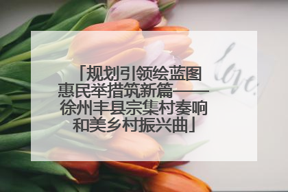 规划引领绘蓝图 惠民举措筑新篇——徐州丰县宗集村奏响和美乡村振兴曲