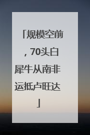 规模空前，70头白犀牛从南非运抵卢旺达