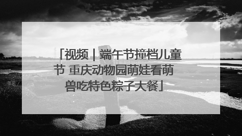 视频｜端午节撞档儿童节 重庆动物园萌娃看萌兽吃特色粽子大餐