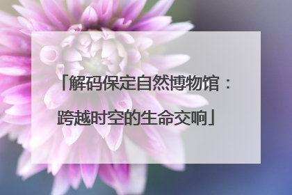 解码保定自然博物馆：跨越时空的生命交响