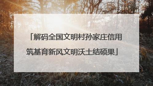 解码全国文明村孙家庄信用筑基育新风文明沃土结硕果