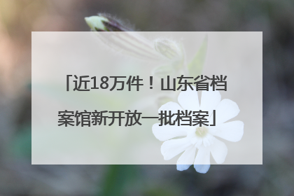 近18万件！山东省档案馆新开放一批档案