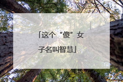这个“傻”女子名叫智慧