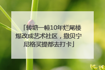 转塘一幢10年烂尾楼爆改成艺术社区，撒贝宁尼格买提都去打卡