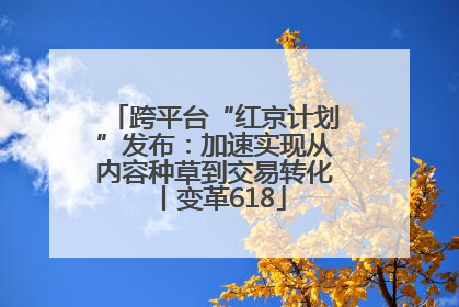 跨平台“红京计划”发布：加速实现从内容种草到交易转化丨变革618