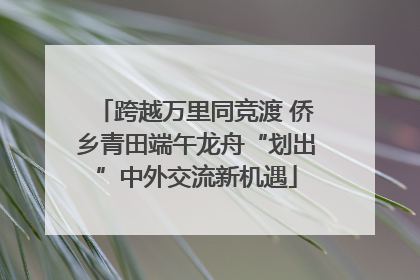 跨越万里同竞渡 侨乡青田端午龙舟“划出”中外交流新机遇
