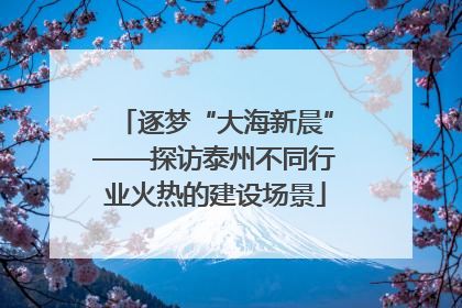 逐梦“大海新晨”——探访泰州不同行业火热的建设场景