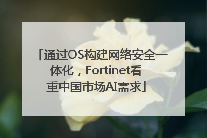 通过OS构建网络安全一体化，Fortinet看重中国市场AI需求