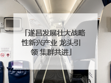 遂昌发展壮大战略性新兴产业 龙头引领 集群共进
