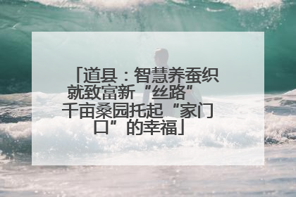 道县：智慧养蚕织就致富新“丝路” 千亩桑园托起“家门口”的幸福