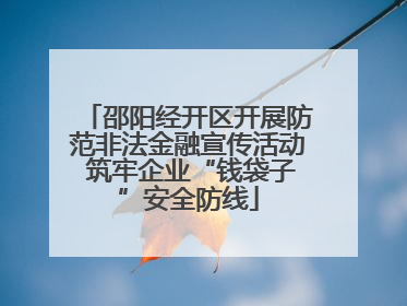 邵阳经开区开展防范非法金融宣传活动 筑牢企业“钱袋子”安全防线