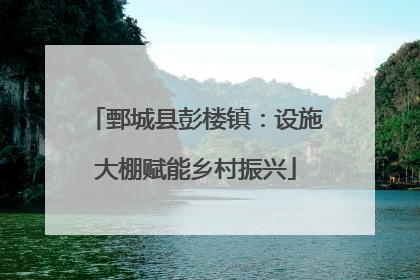 鄄城县彭楼镇：设施大棚赋能乡村振兴