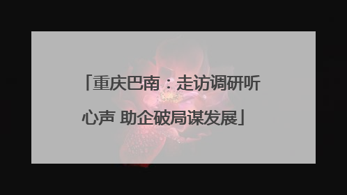 重庆巴南：走访调研听心声 助企破局谋发展