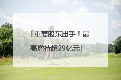 重要股东出手！最高增持超29亿元