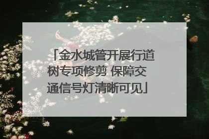 金水城管开展行道树专项修剪 保障交通信号灯清晰可见