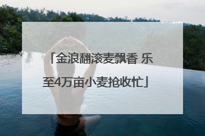金浪翻滚麦飘香 乐至4万亩小麦抢收忙