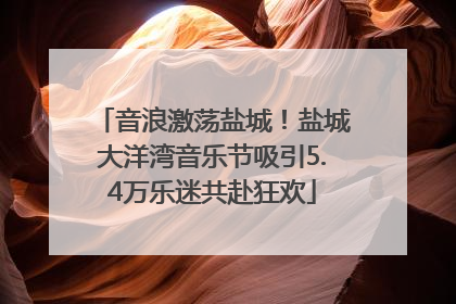 音浪激荡盐城！盐城大洋湾音乐节吸引5.4万乐迷共赴狂欢