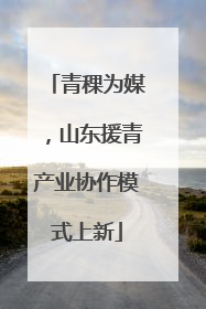 青稞为媒，山东援青产业协作模式上新