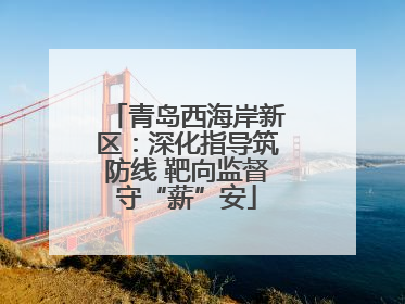青岛西海岸新区：深化指导筑防线 靶向监督守“薪”安