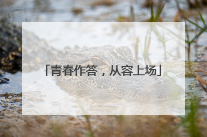 青春作答，从容上场
