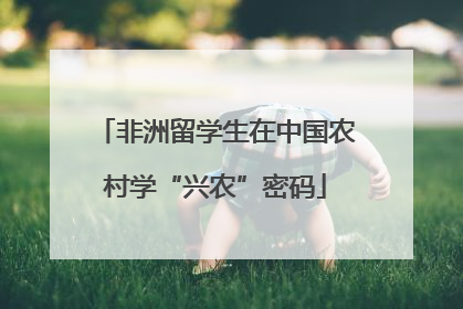非洲留学生在中国农村学“兴农”密码