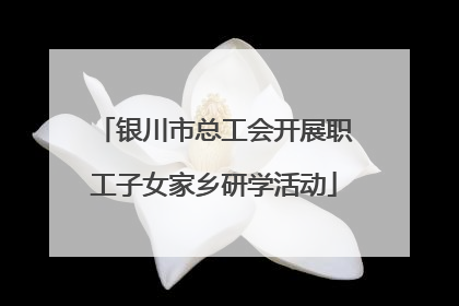 银川市总工会开展职工子女家乡研学活动