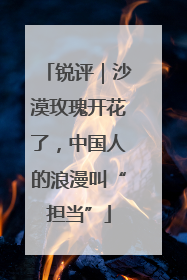 锐评｜沙漠玫瑰开花了，中国人的浪漫叫“担当”