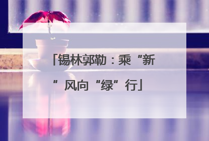 锡林郭勒：乘“新”风向“绿”行