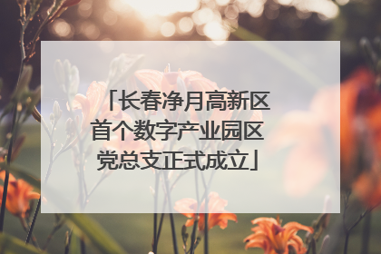 长春净月高新区首个数字产业园区党总支正式成立