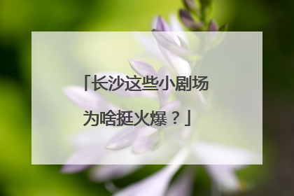 长沙这些小剧场为啥挺火爆？