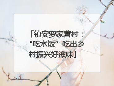 镇安罗家营村：“吃水饭”吃出乡村振兴好滋味