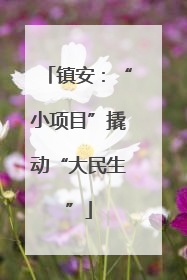 镇安：“小项目”撬动“大民生”