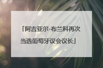 阿吉亚尔-布兰科再次当选葡萄牙议会议长