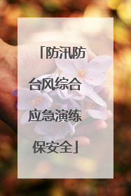 防汛防台风综合应急演练保安全