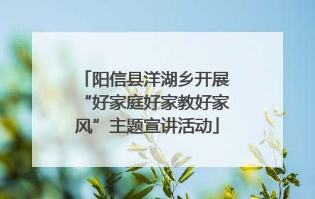 阳信县洋湖乡开展“好家庭好家教好家风”主题宣讲活动