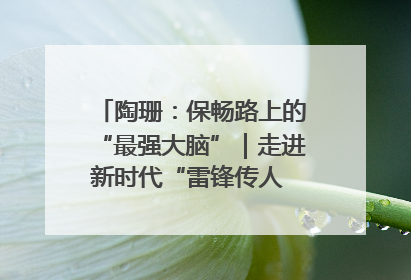 陶珊：保畅路上的“最强大脑”｜走进新时代“雷锋传人 长沙榜样”