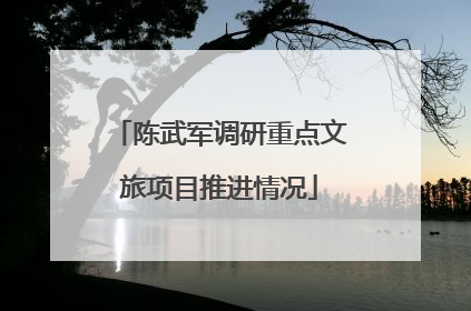 陈武军调研重点文旅项目推进情况