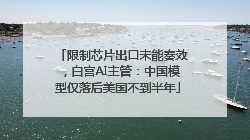 限制芯片出口未能奏效，白宫AI主管：中国模型仅落后美国不到半年