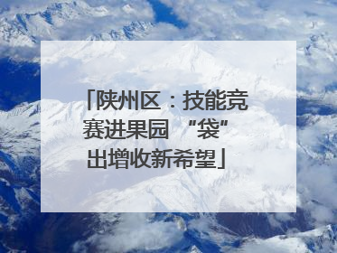 陕州区：技能竞赛进果园 “袋”出增收新希望