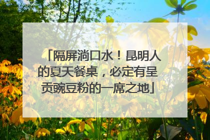 隔屏淌口水！昆明人的夏天餐桌，必定有呈贡豌豆粉的一席之地