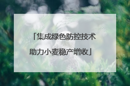 集成绿色防控技术助力小麦稳产增收