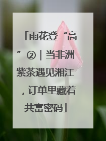 雨花登“高”②｜当非洲紫茶遇见湘江，订单里藏着共富密码