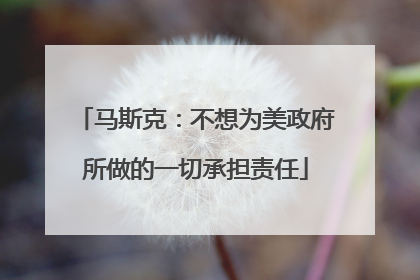 马斯克：不想为美政府所做的一切承担责任