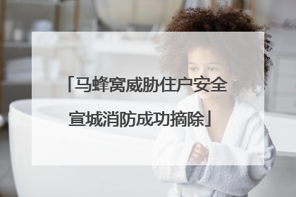 马蜂窝威胁住户安全 宣城消防成功摘除