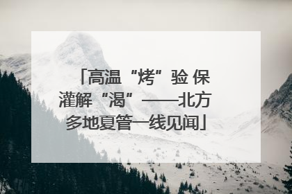 高温“烤”验 保灌解“渴”——北方多地夏管一线见闻