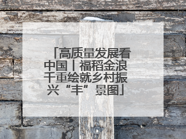 高质量发展看中国丨福稻金浪千重绘就乡村振兴“丰”景图