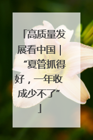 高质量发展看中国｜“夏管抓得好，一年收成少不了”