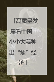 高质量发展看中国｜小小大蒜种出“辣”经济