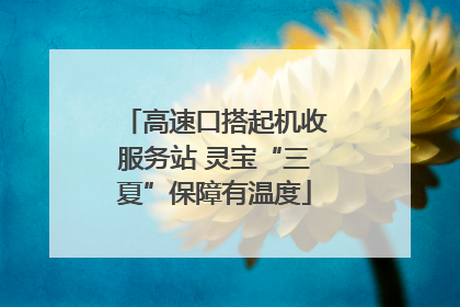 高速口搭起机收服务站 灵宝“三夏”保障有温度